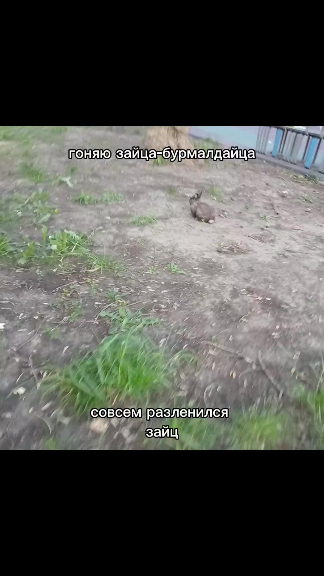 @кабачковый оладушек
