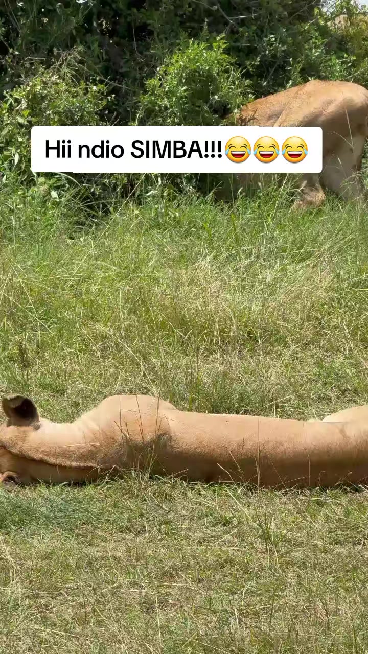 @uniquepreensafaris