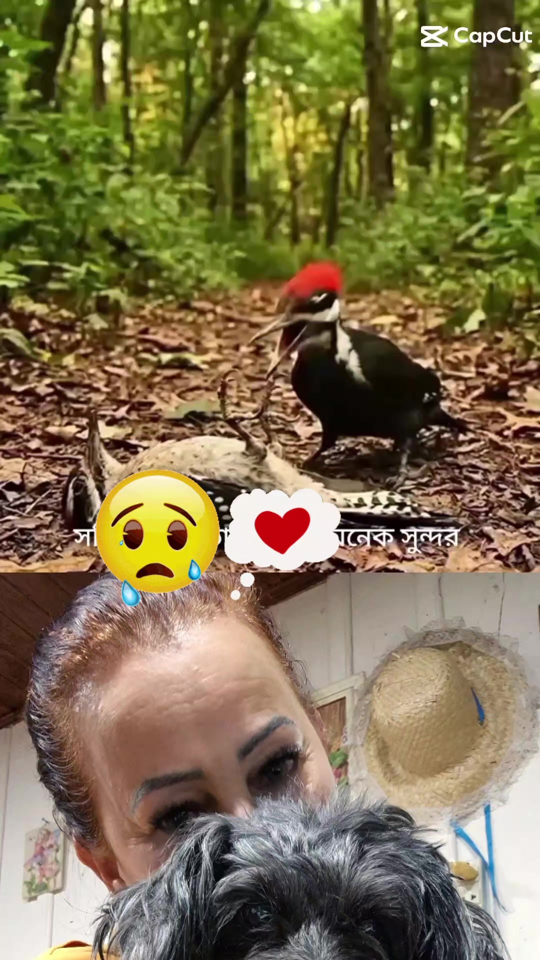 @Regina Ramos