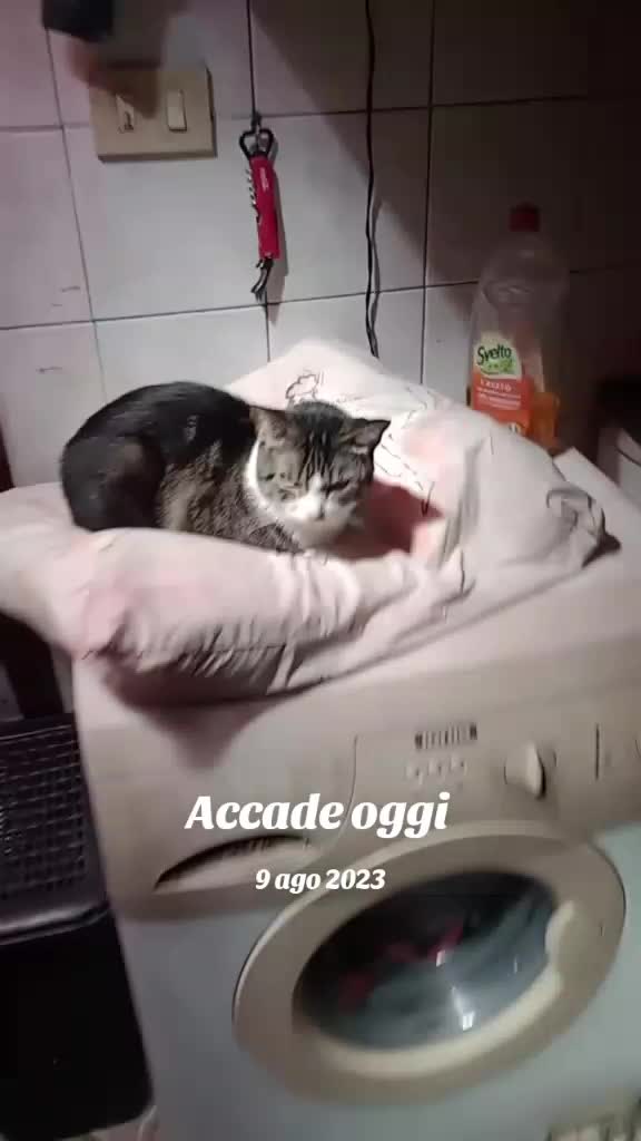 @Alessia Tognoli
