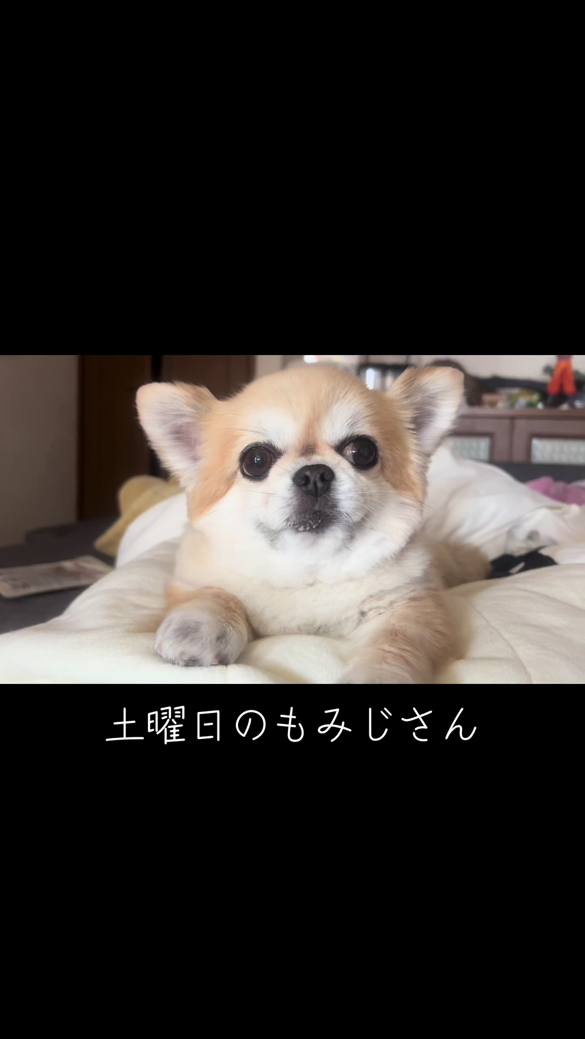 @もみぞう