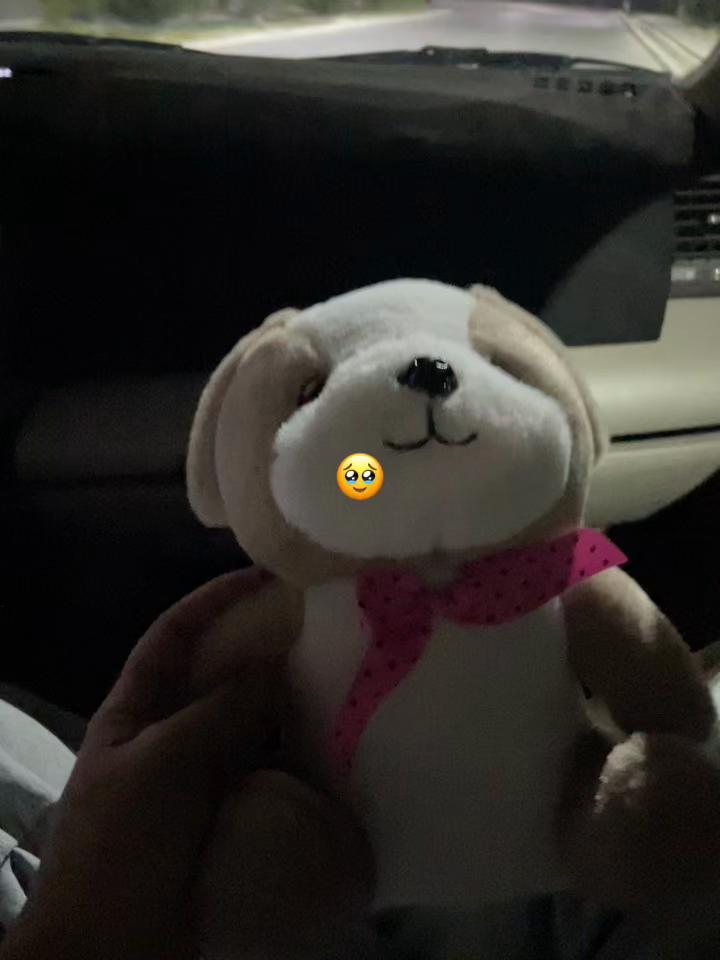 @alikon🫧