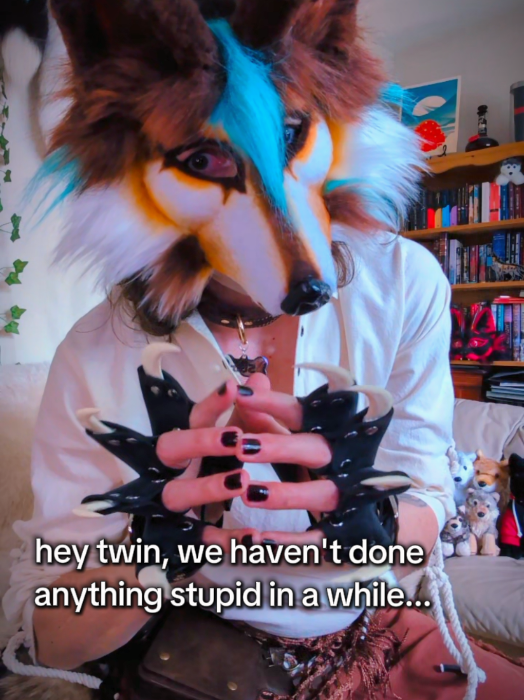 @starlit wolf