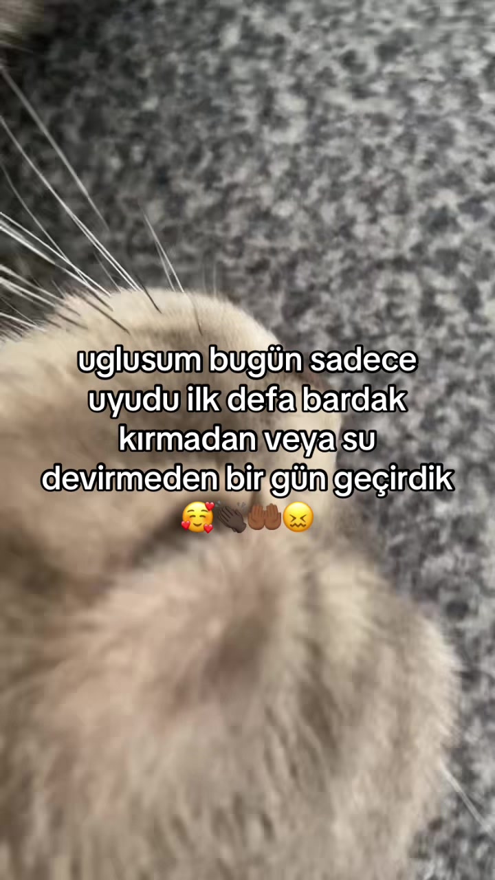 @fokbaliği🦭🎀