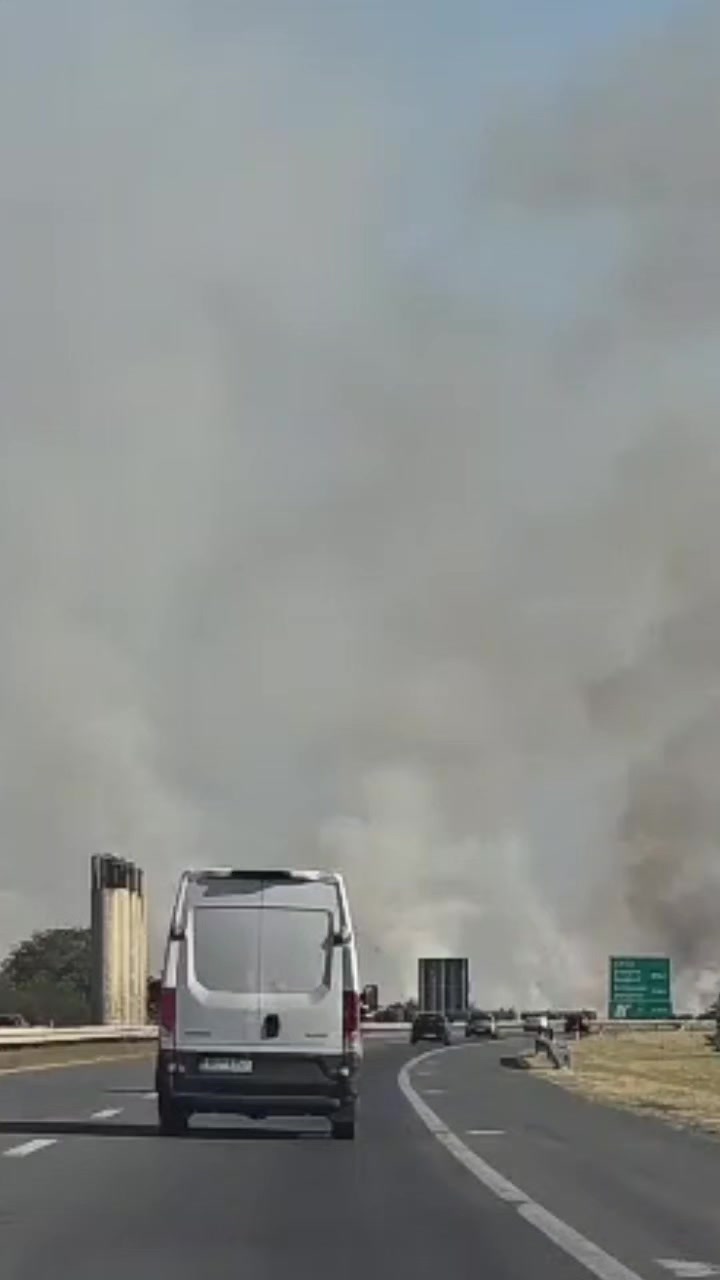 @telegrafrs