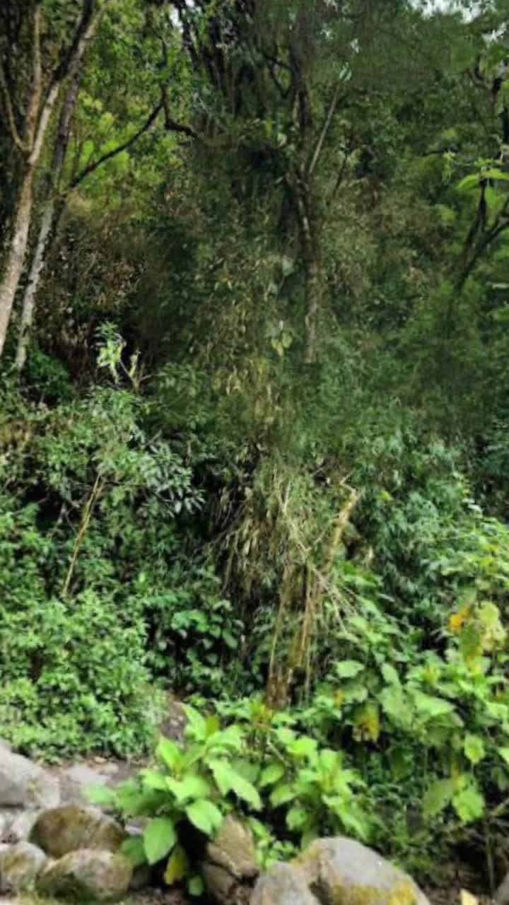 @ANTHONY CHAHALITO502 🇬🇹