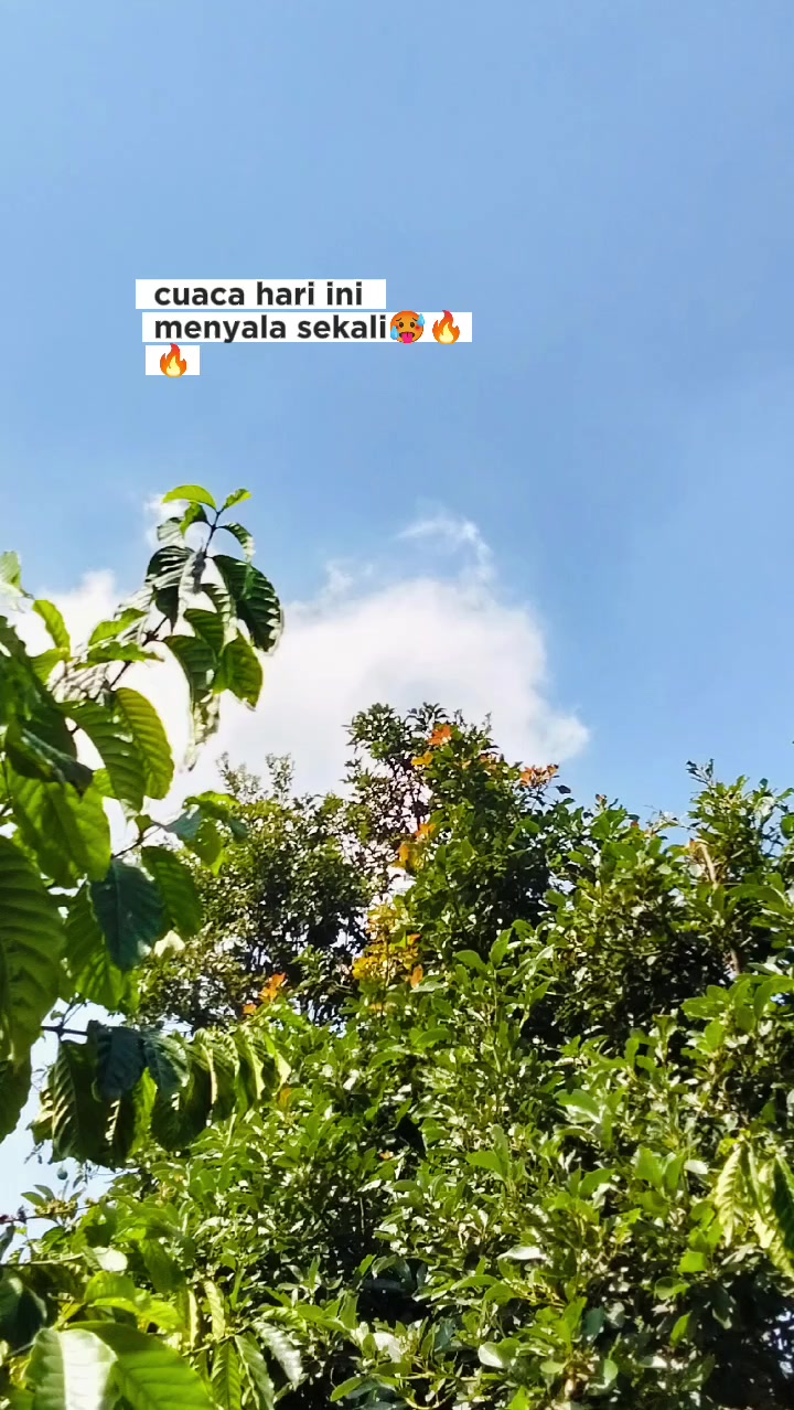 @zhanti