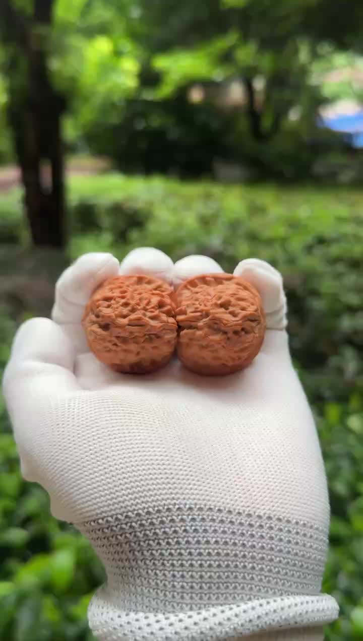 @GẤU HỒ Đ&Agrave;O