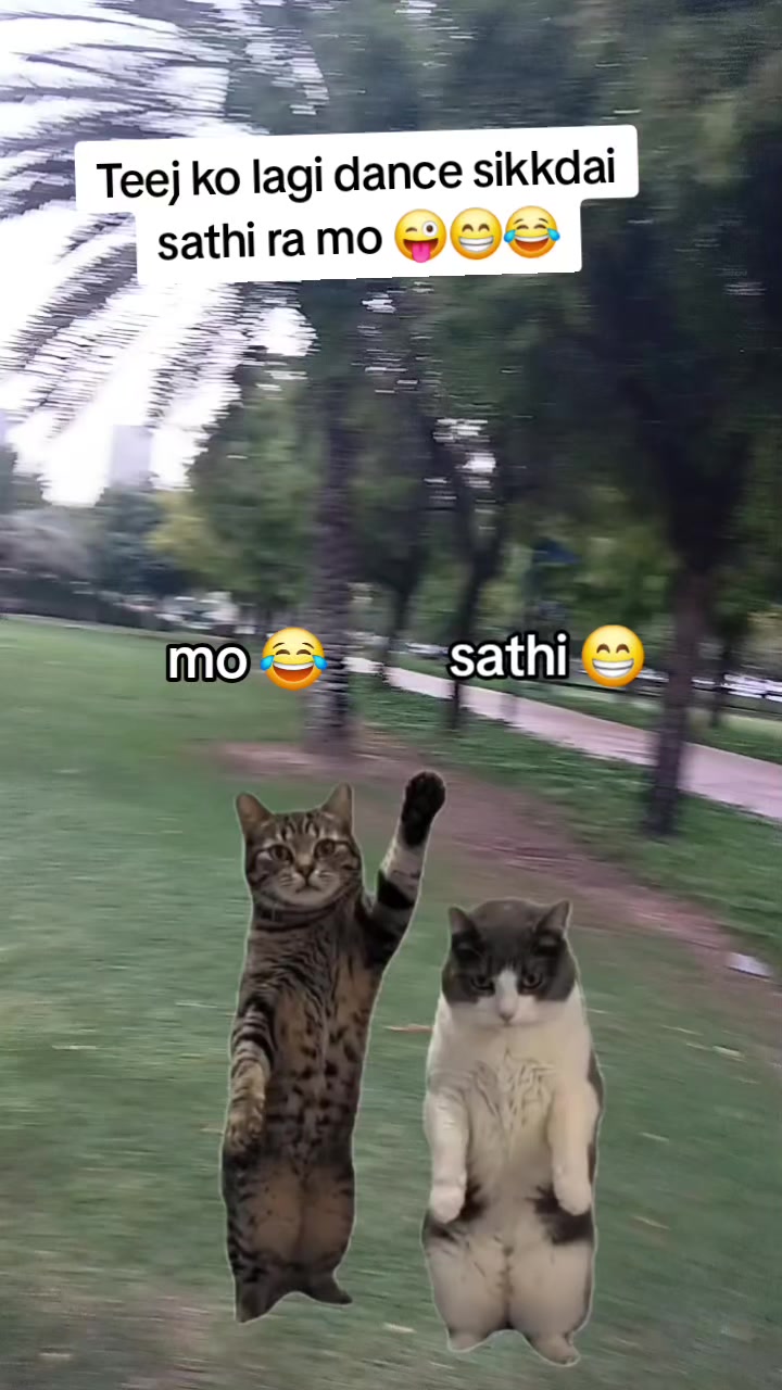 @Jeevan_bmjan❤️🤗😘
