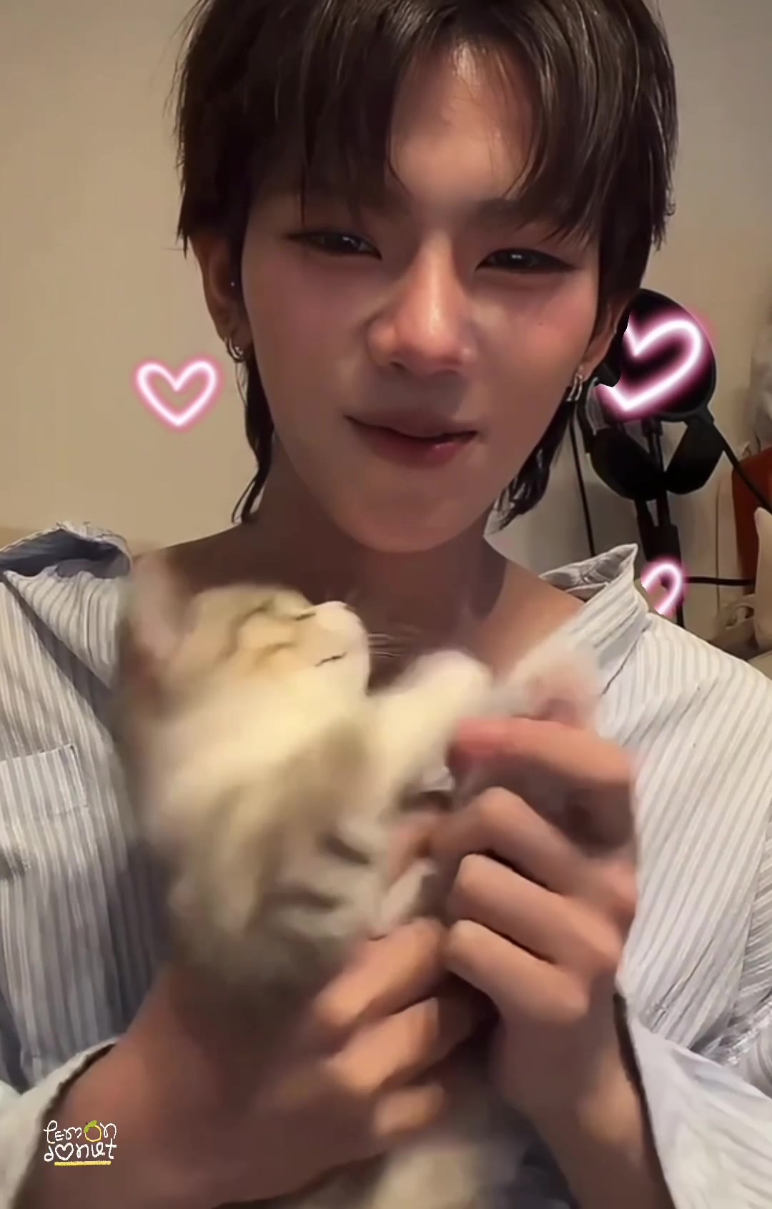 @lem🍋ndonut 🧩🇻🇳🐾ヾ(*'▽'*)