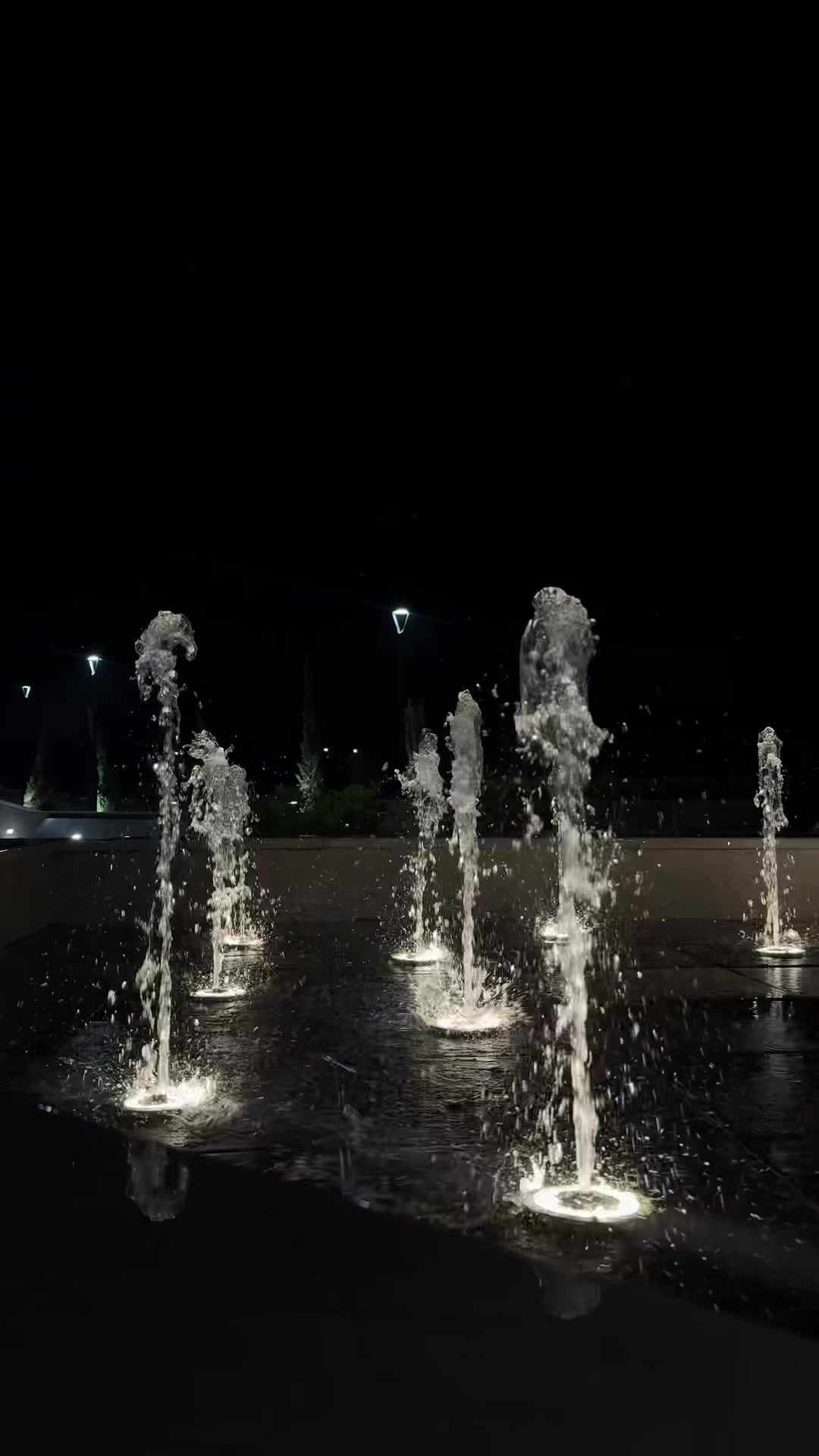 @The_Capital 🇵🇰