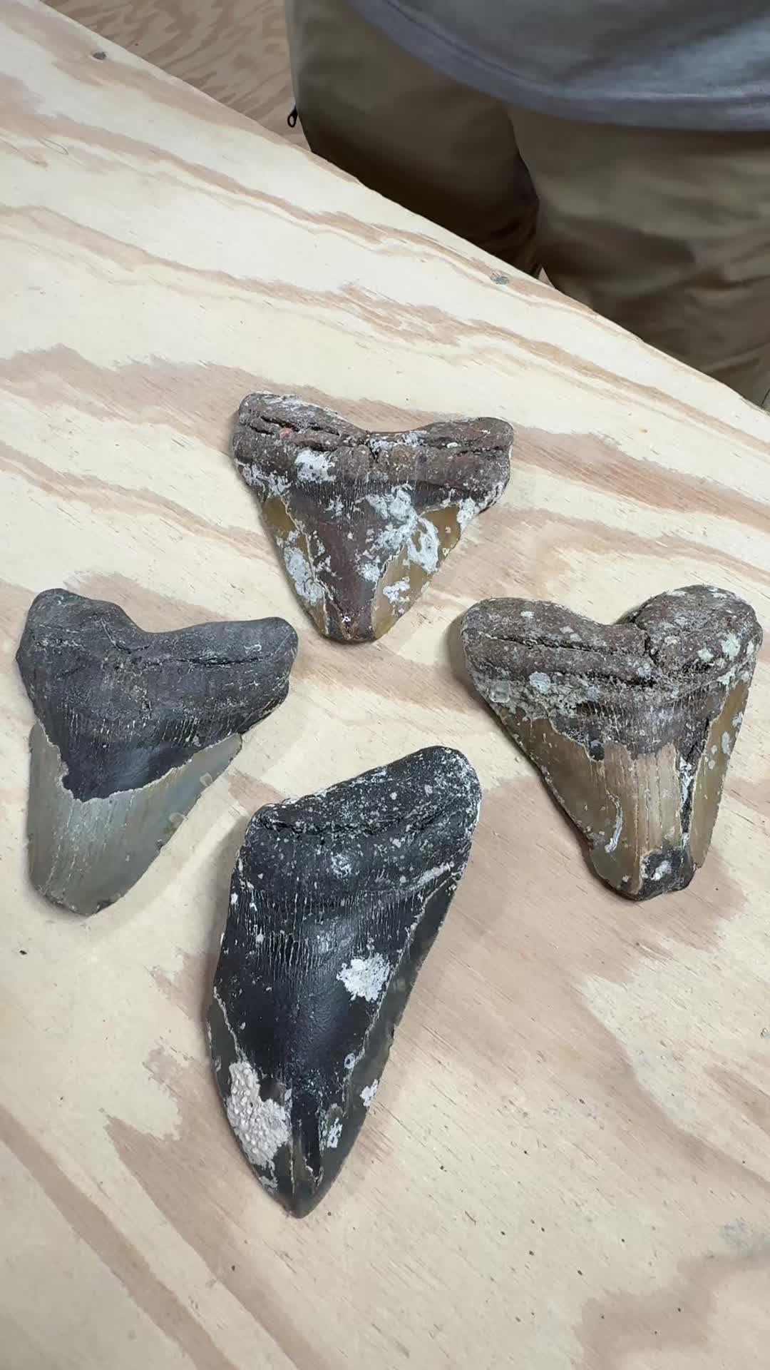 @buriedtreasure