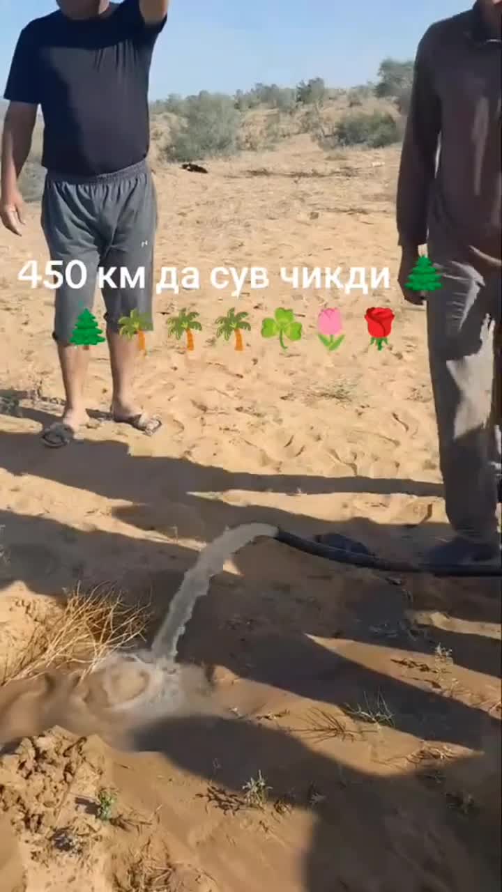 @ато🦁
