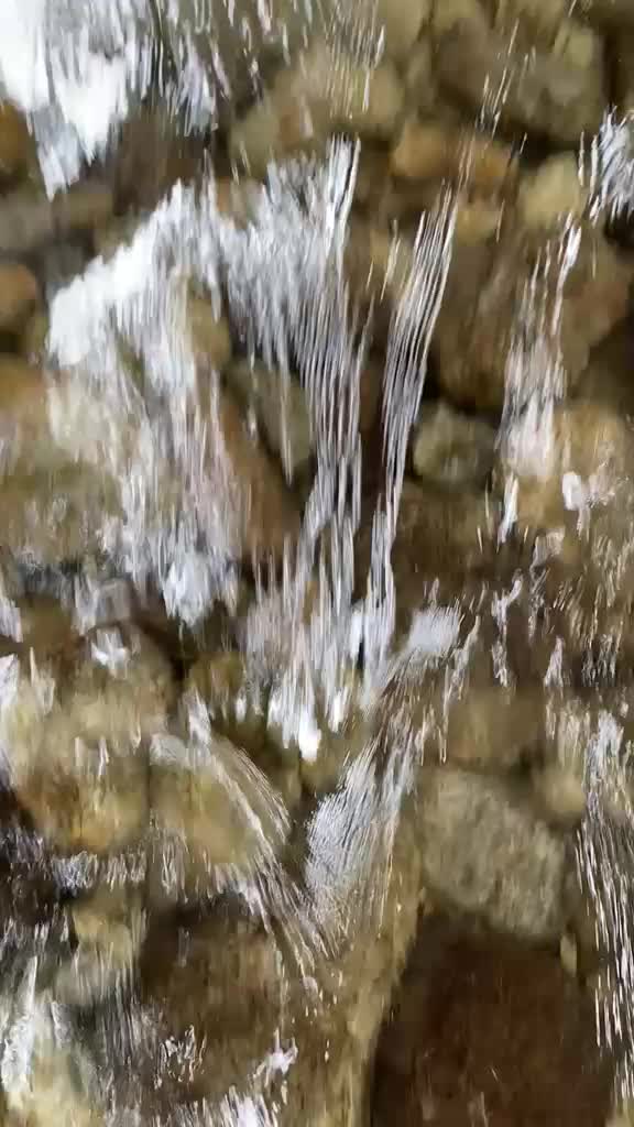@jijo78