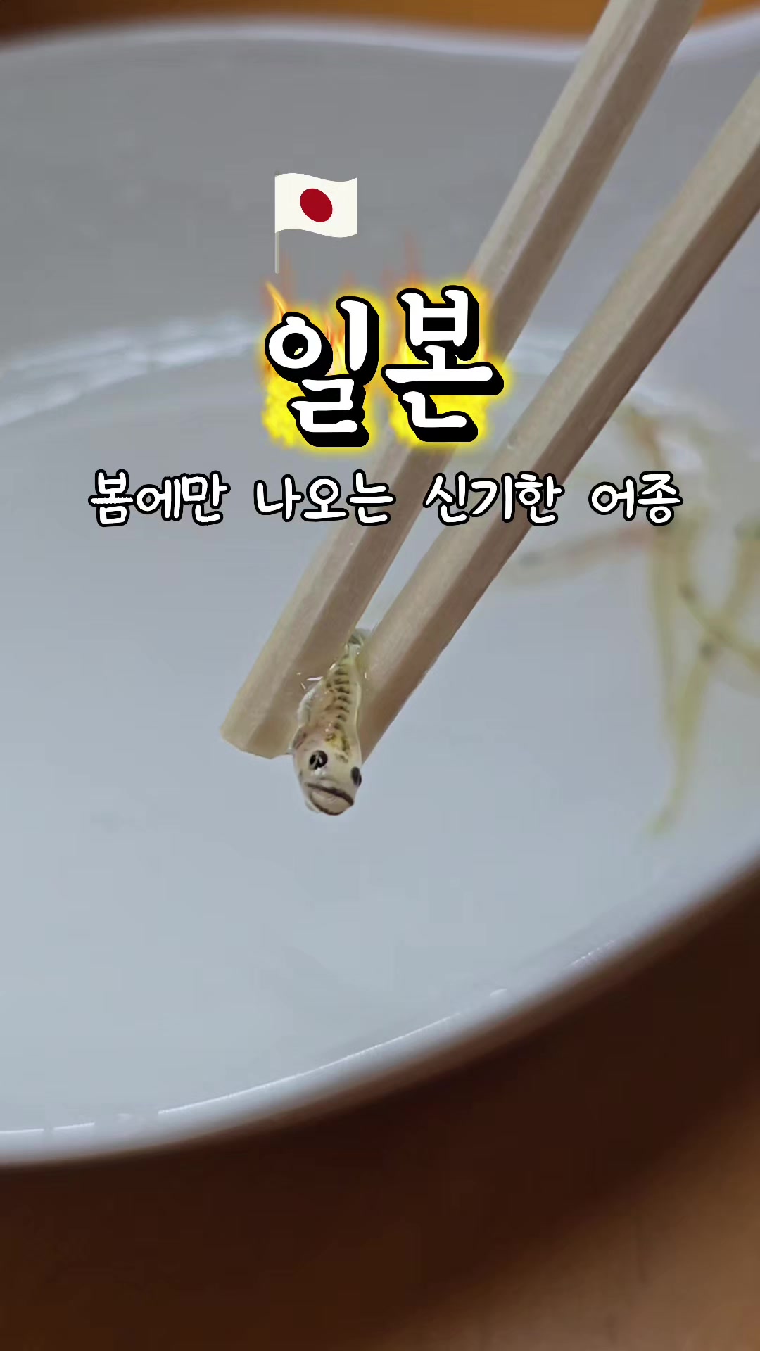 @공감대...빵!