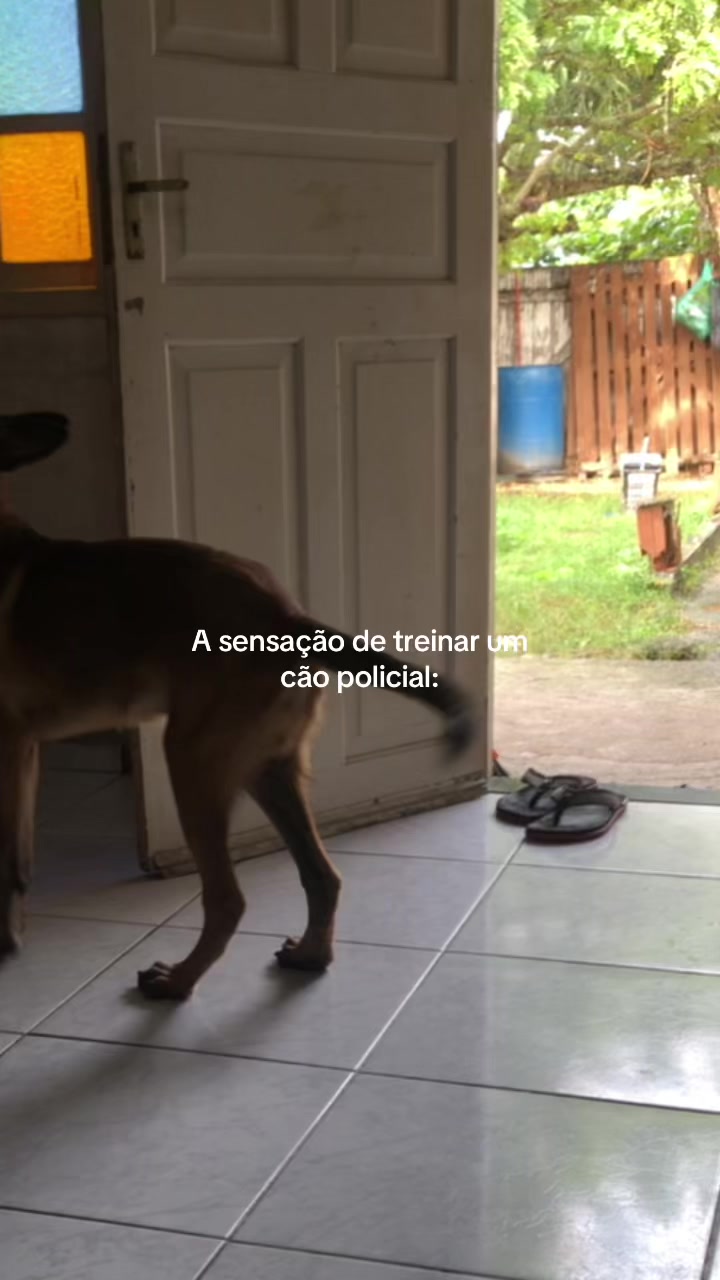 @Pᥱ́r᥆ᥣᥲ ᥱ ᥴᥲ&rho;&iota;tᥲ̃᥆