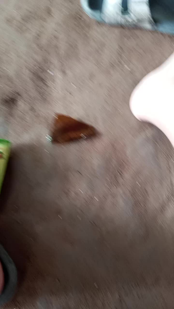 @Cường dép dép đẹp