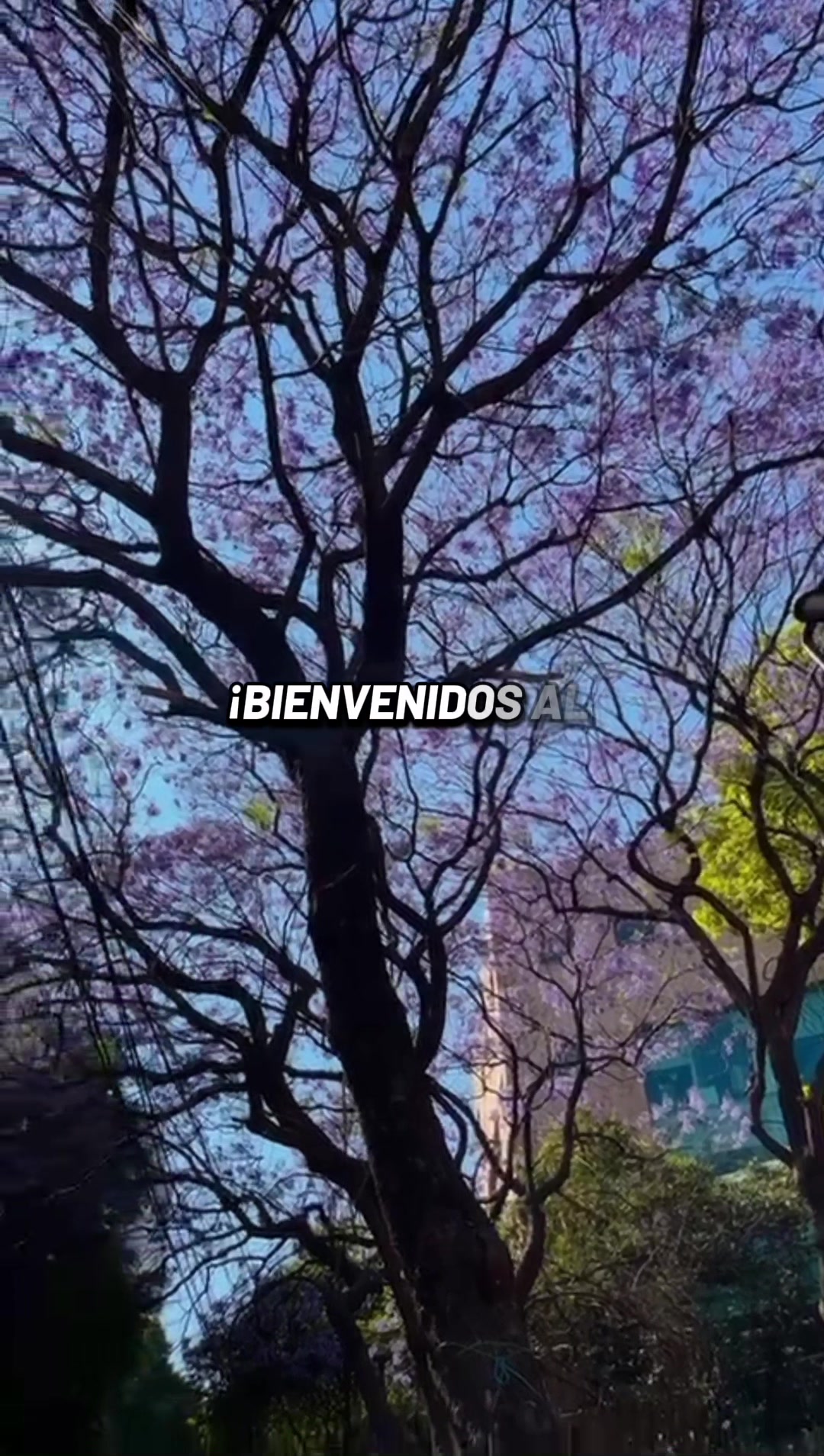 @esabibis