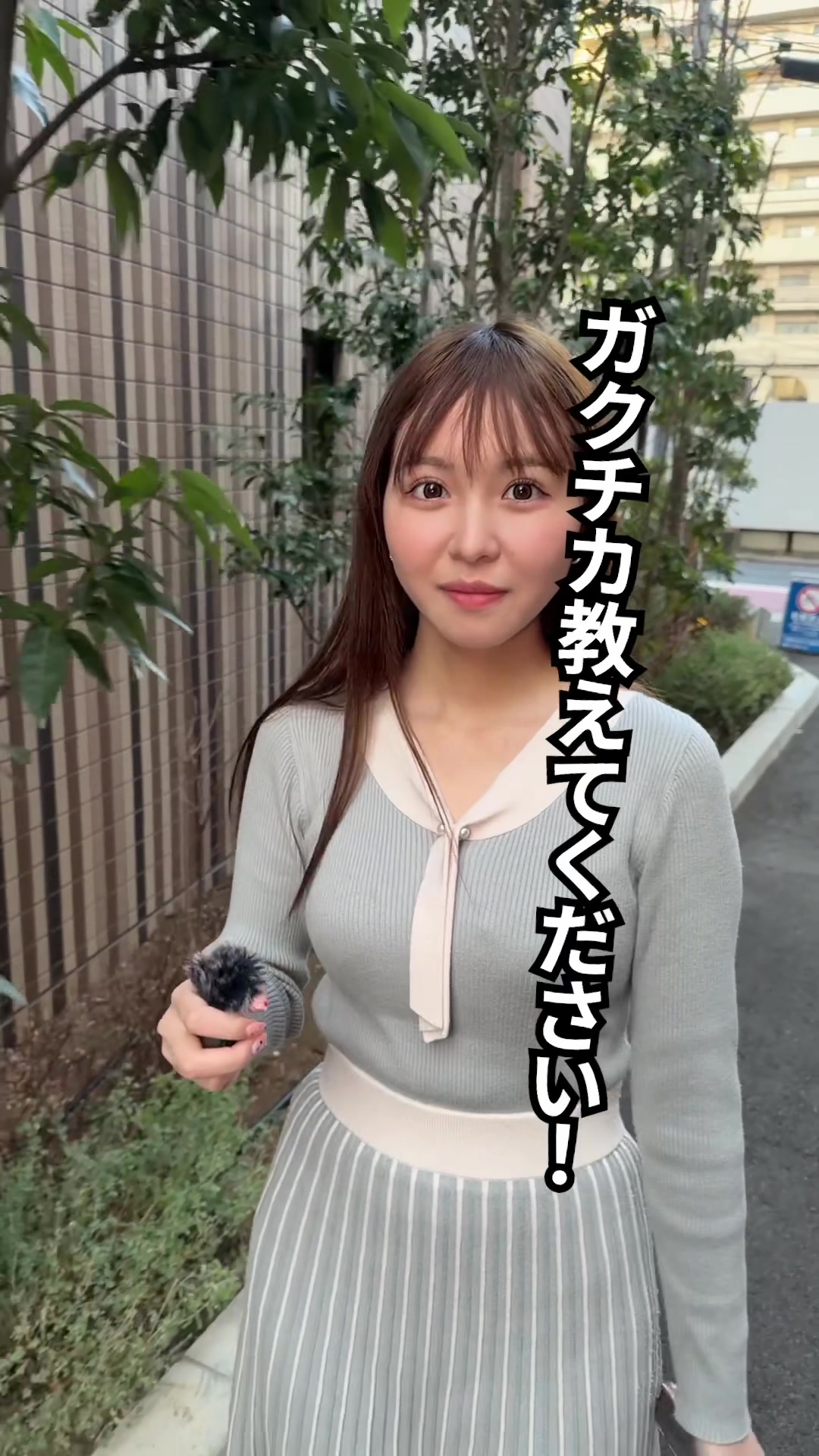 @学部ステッカー