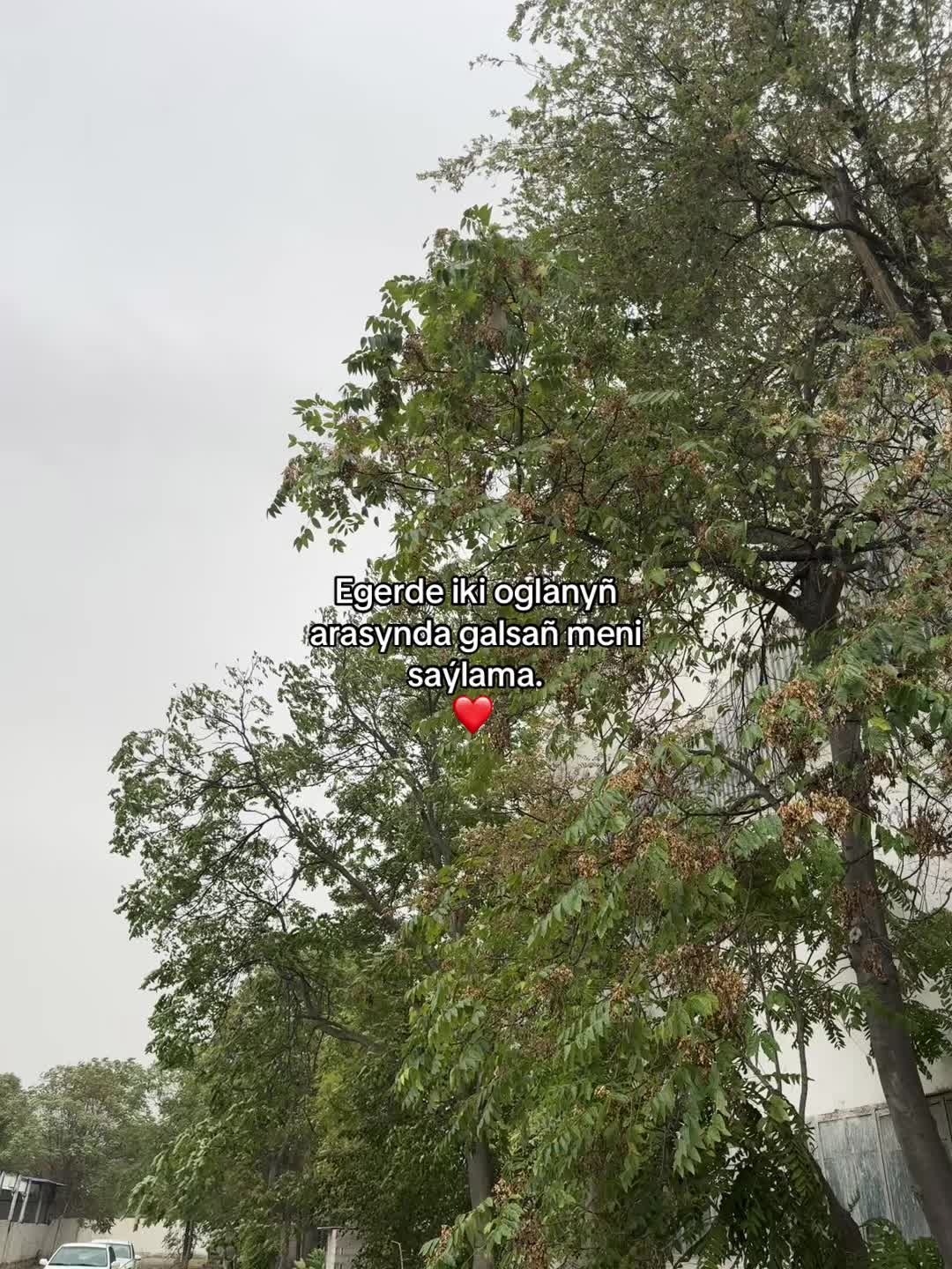 @Yslam_