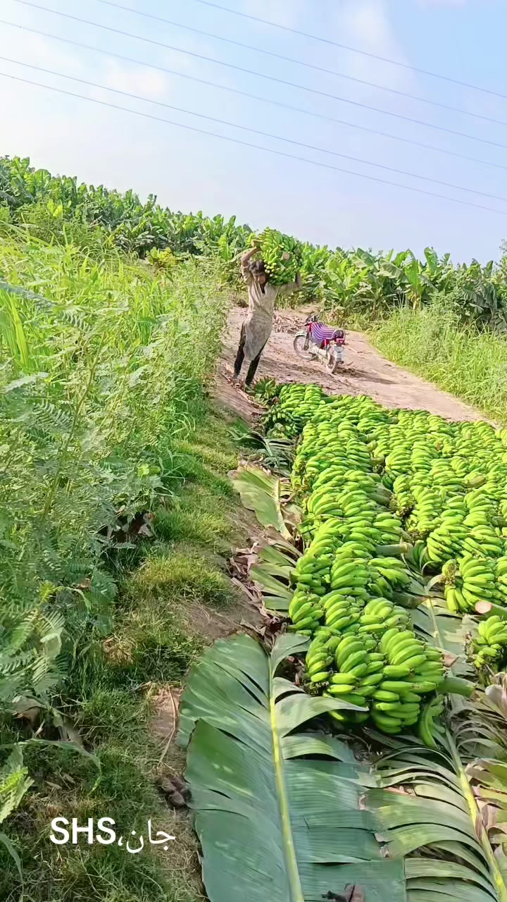 @harjikumar159