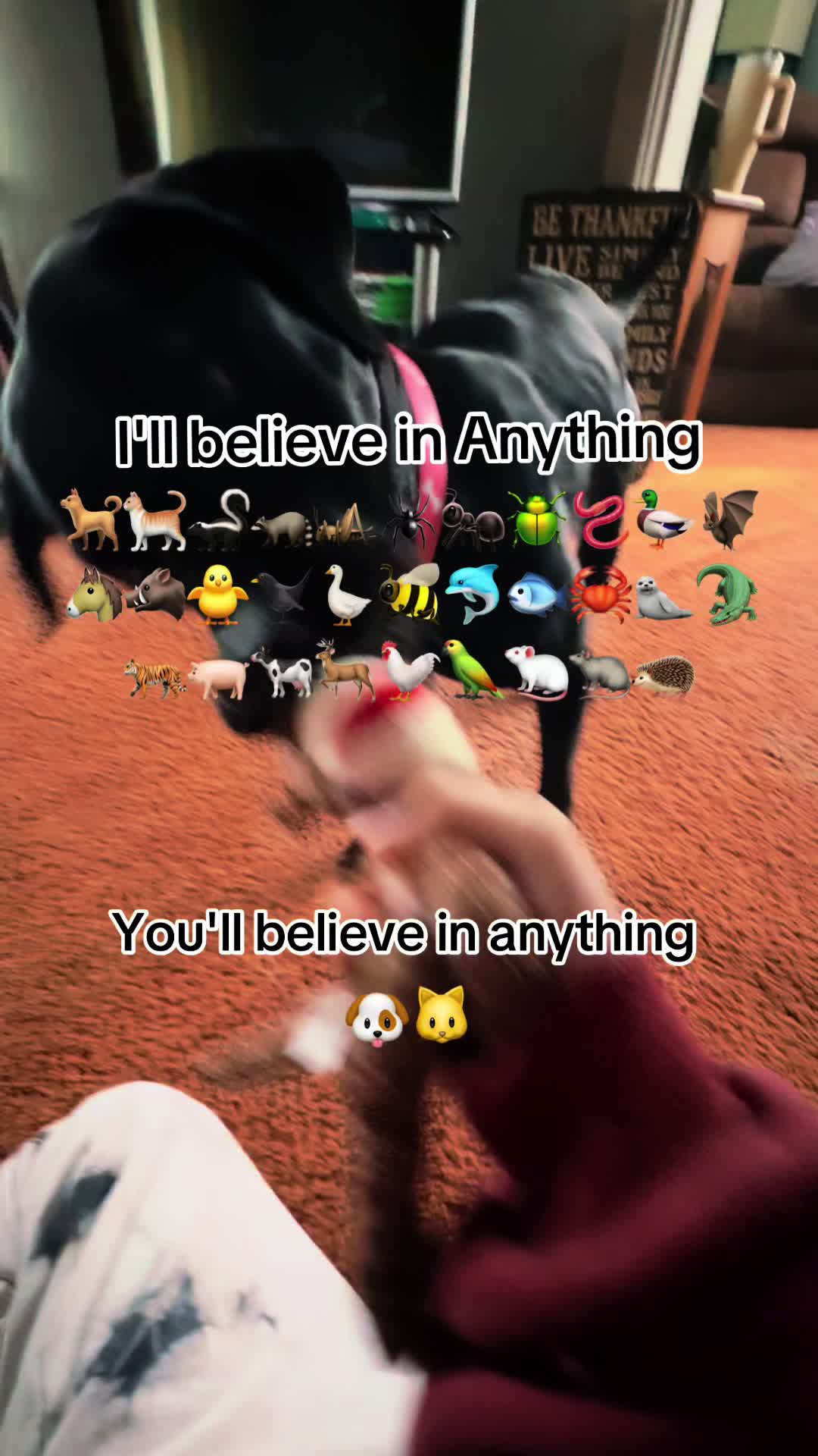 @ᴛᴇʀɪʏᴀᴋɪ
