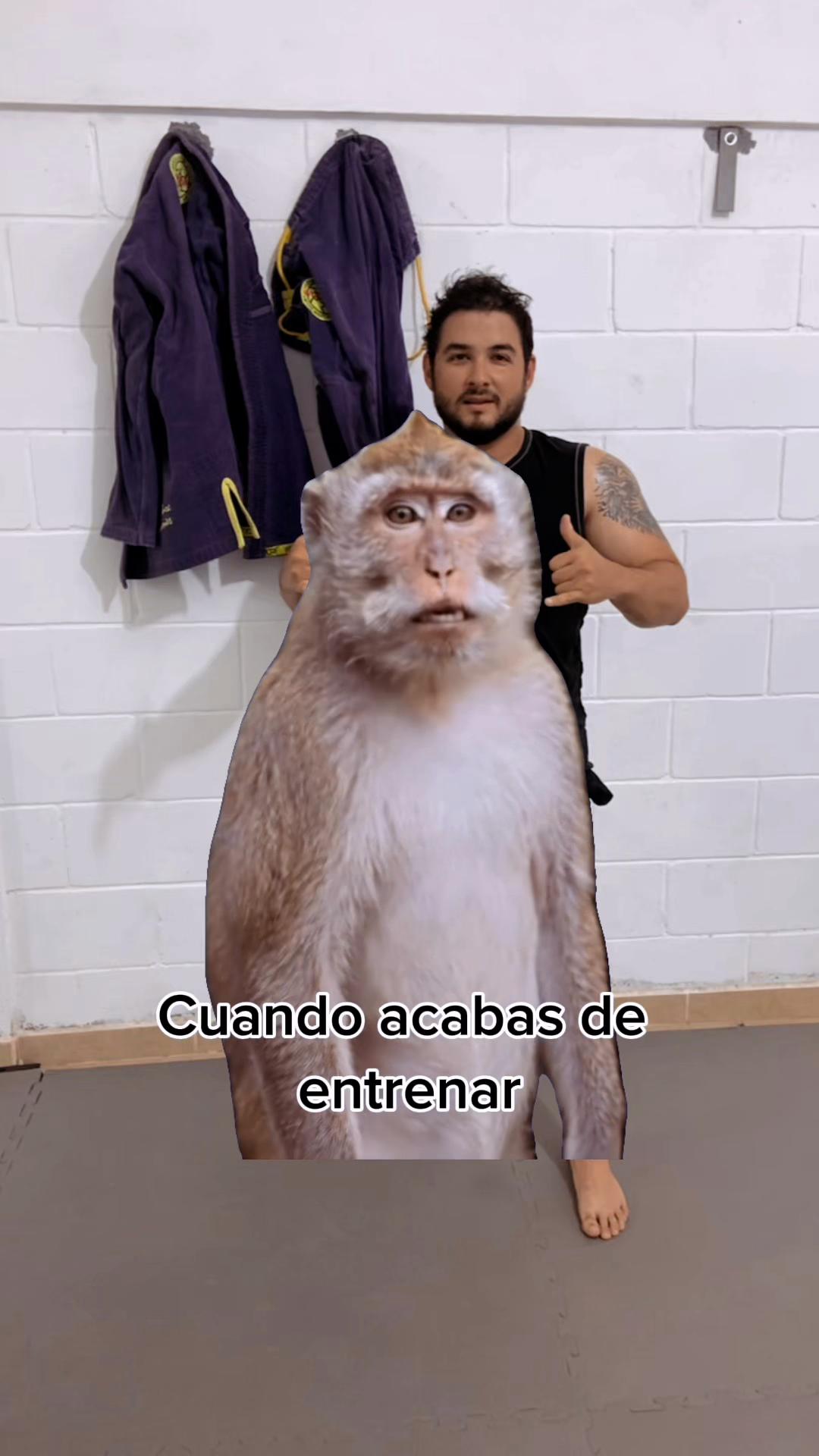 @Rodrigo Guerra