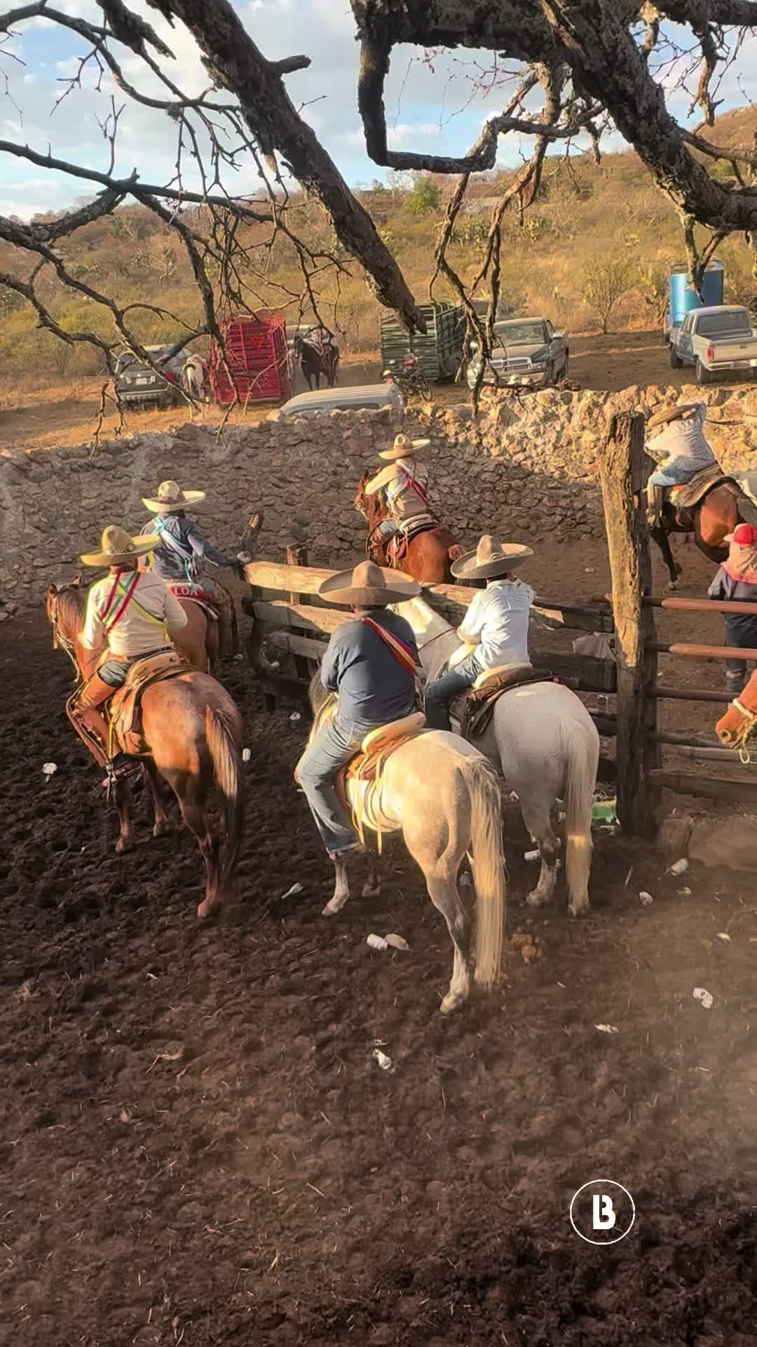 @El zurdo🌵🐴