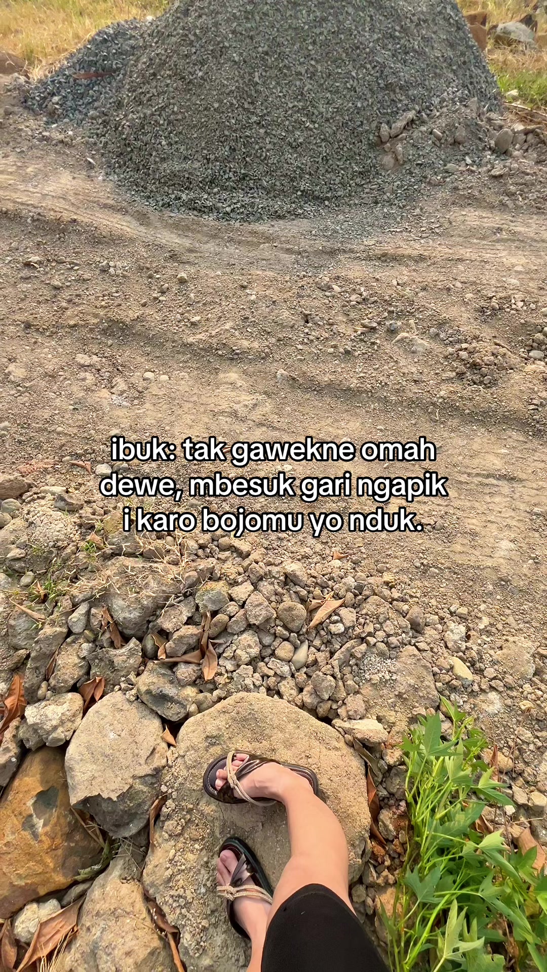 @renn