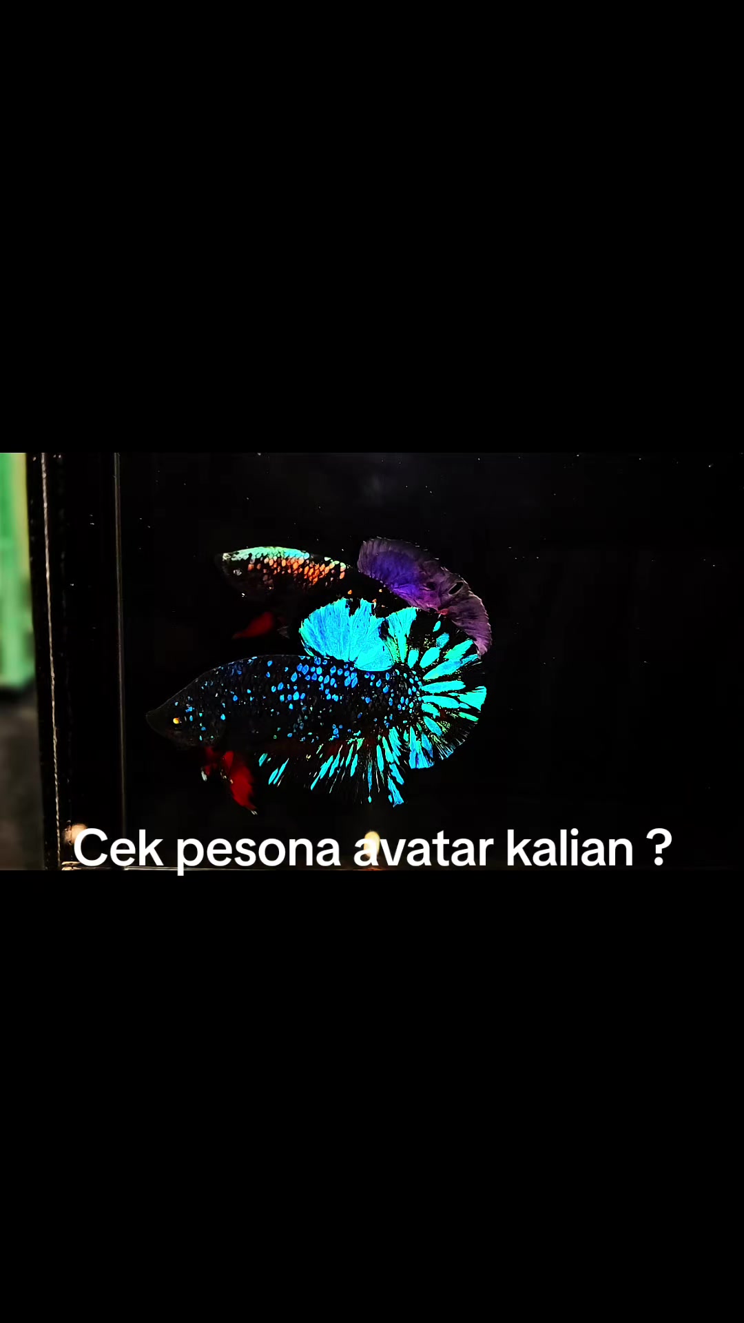 @BETTALARANGAN26