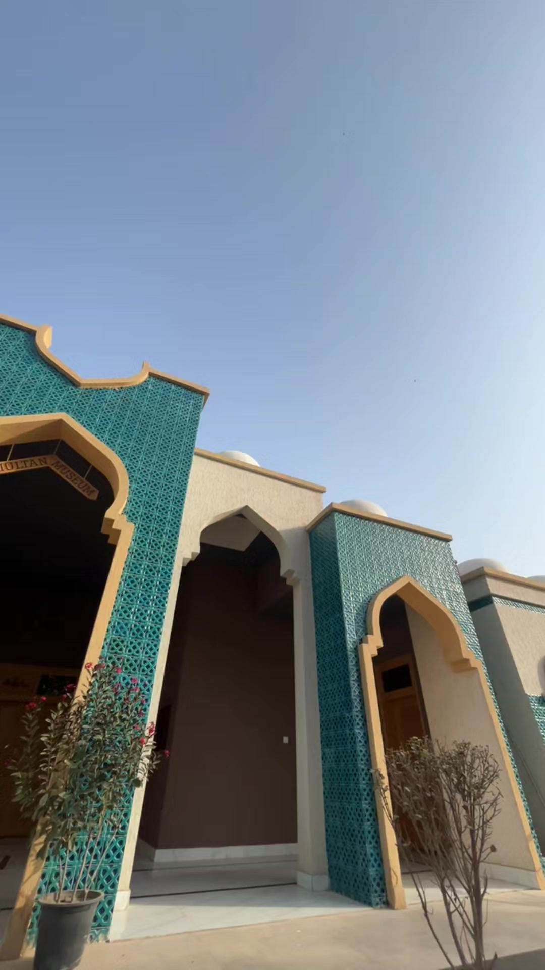 @دانی