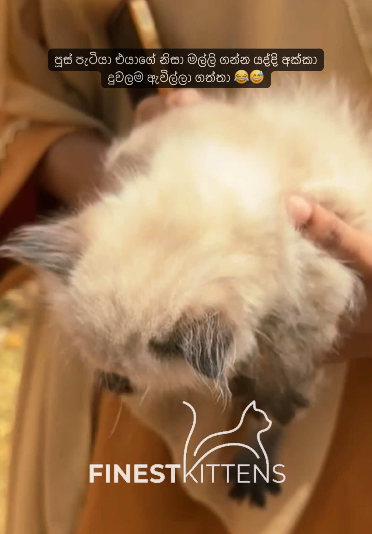 @FinestKittens