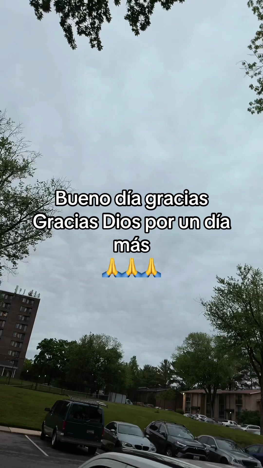 @Agusto Hernández
