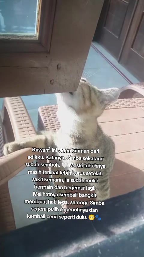 @Lina herlina