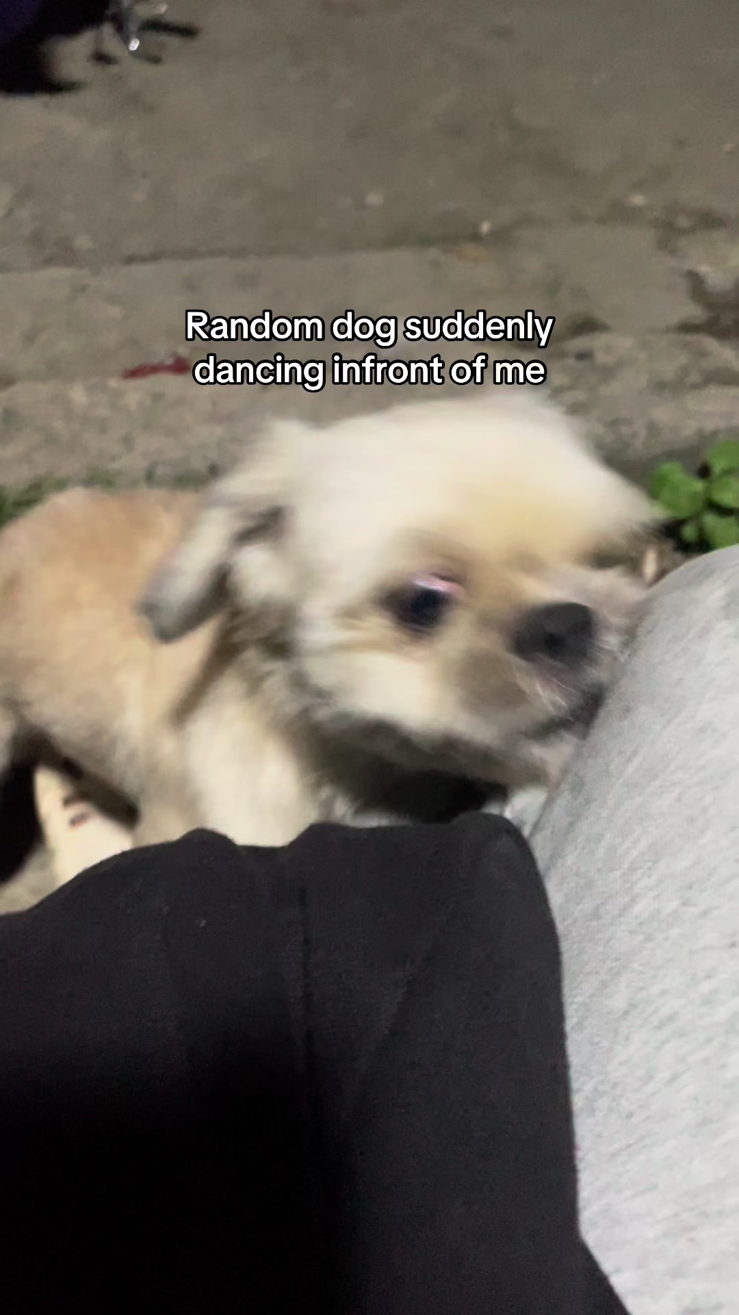 @Rich
