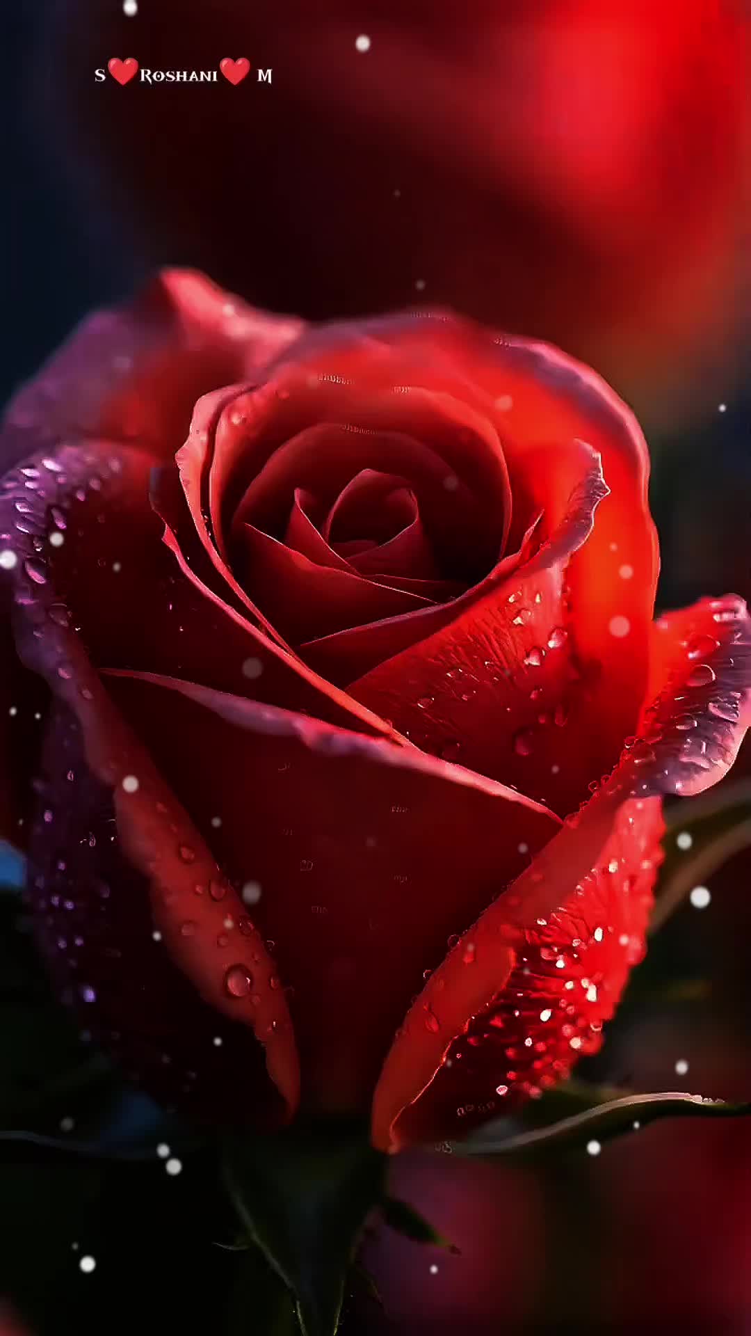 @❤️ S Roshani, M❤️