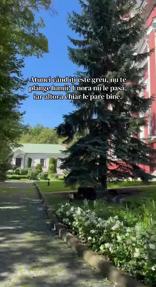 @Igoraș_jr