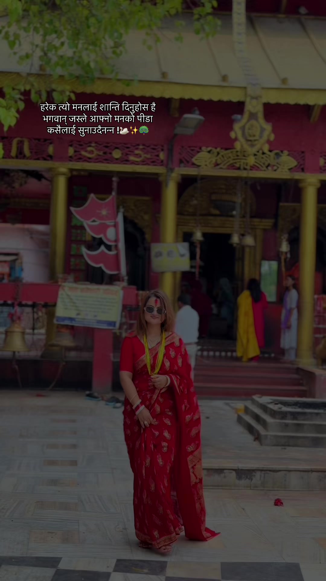 @Shandya Regmi🦚✨