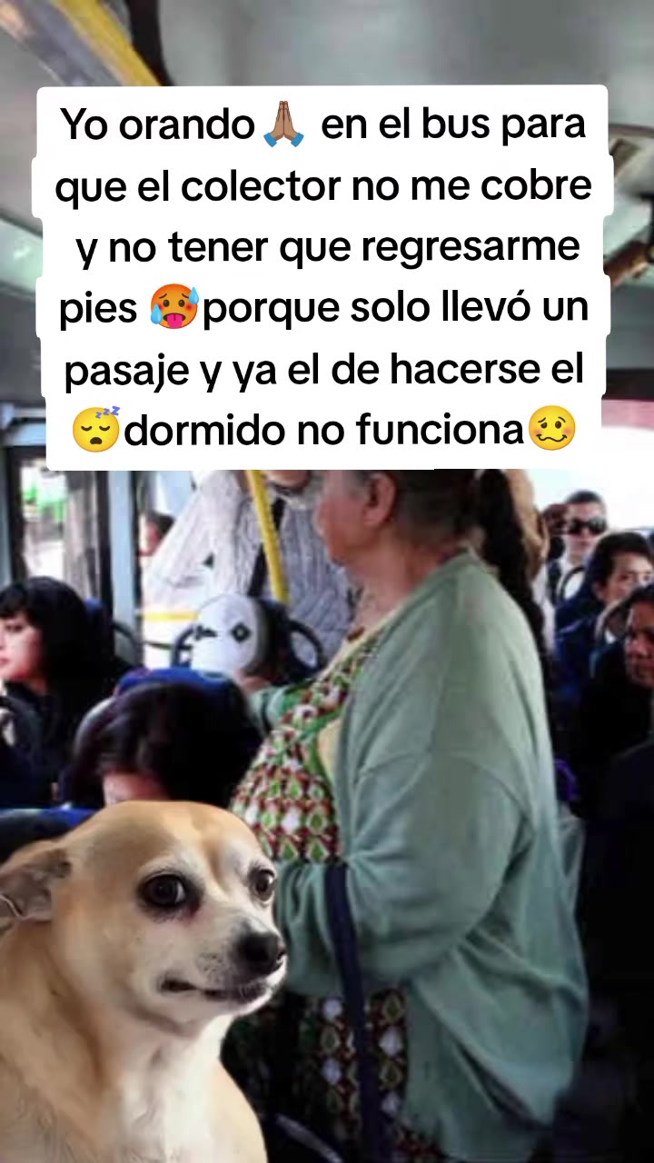 @Karol 💅🏼