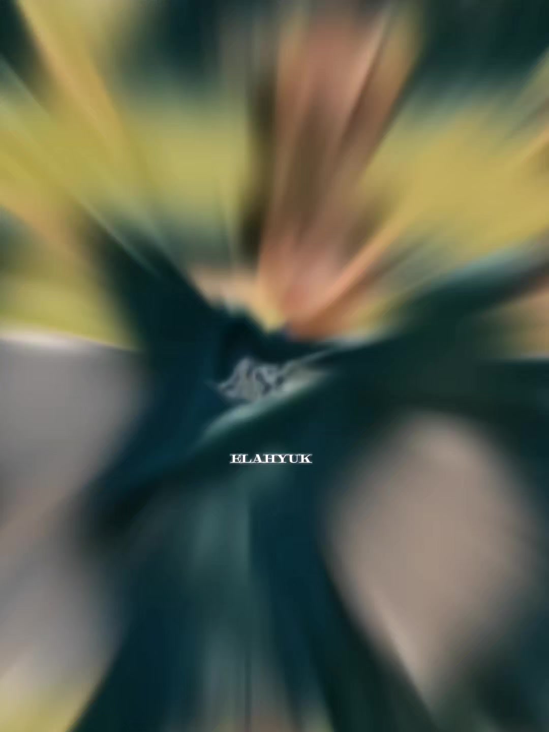 @✨🌛 𝕄𝕆𝕆ℕ_𝔹𝔻 🌜✨