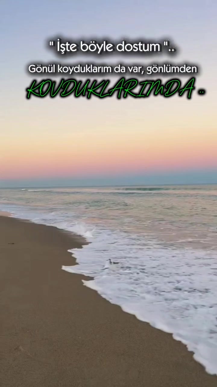 @@◦•●◉✿Yaban🥀gülü✿◉●•◦