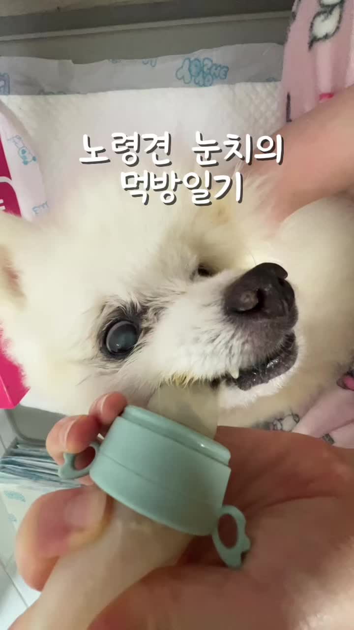 @열찌미