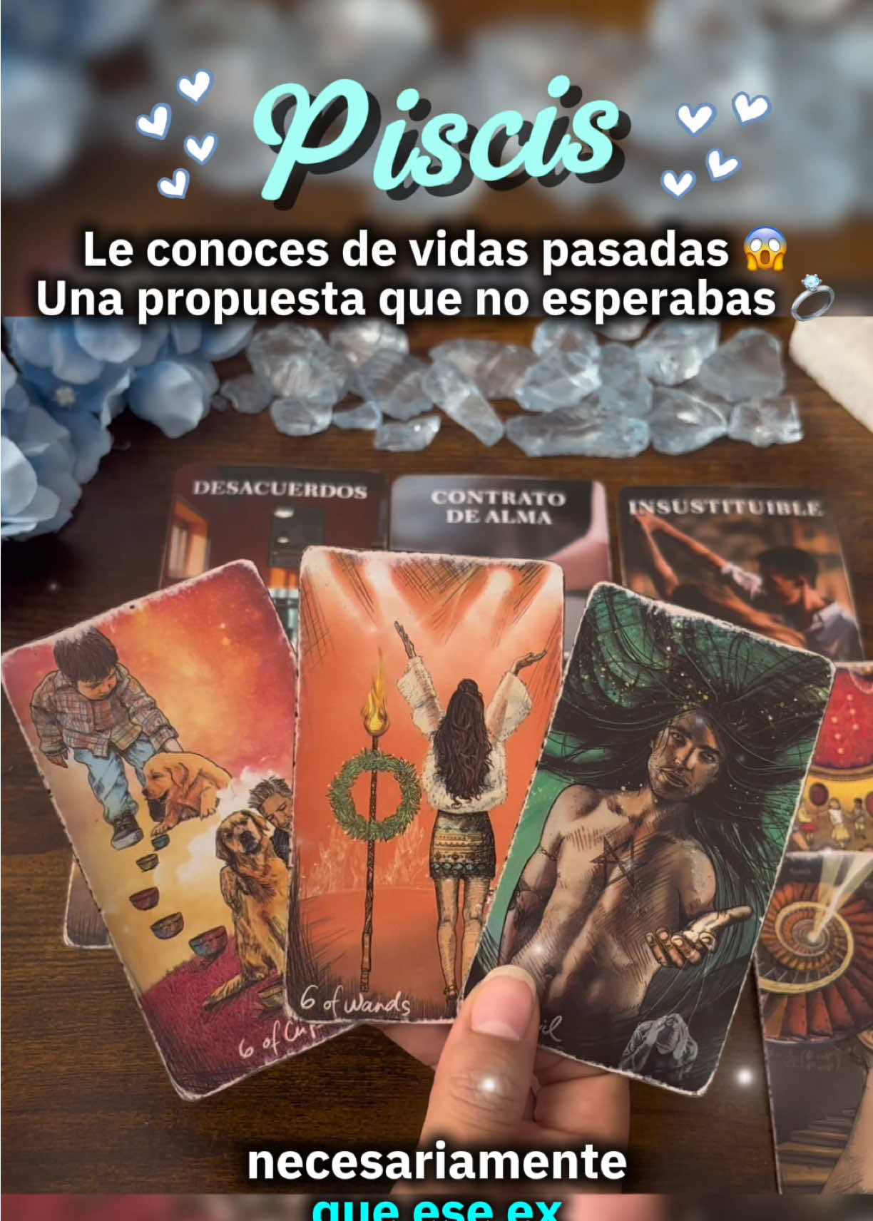 @Andy Sun Tarot ☀️