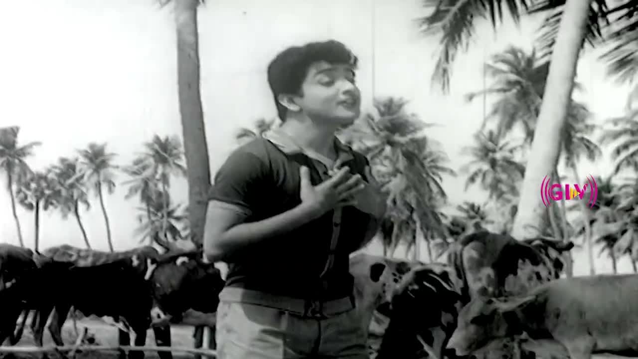 @Vasanthan Venugopal