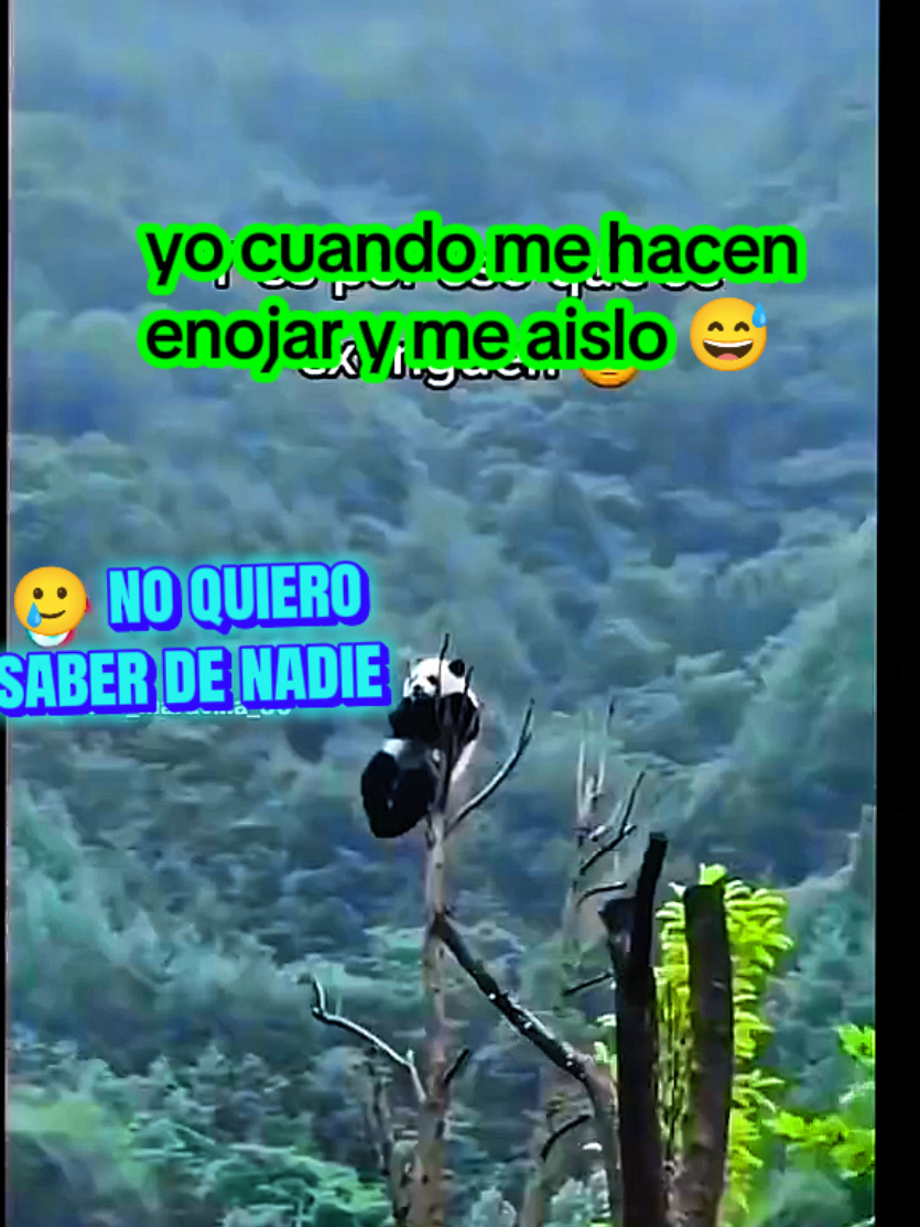 @YURYTA