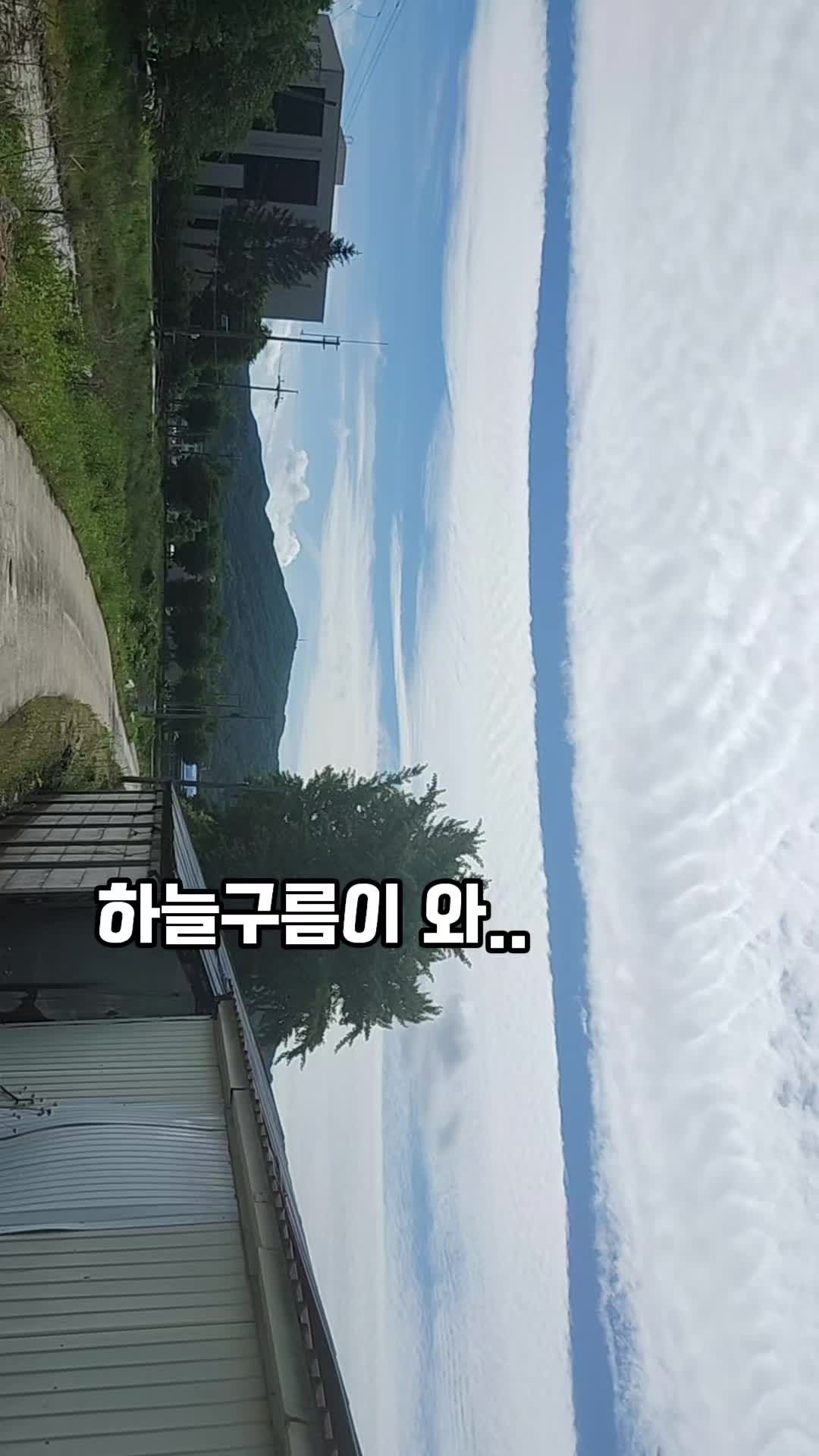 @김 새로이