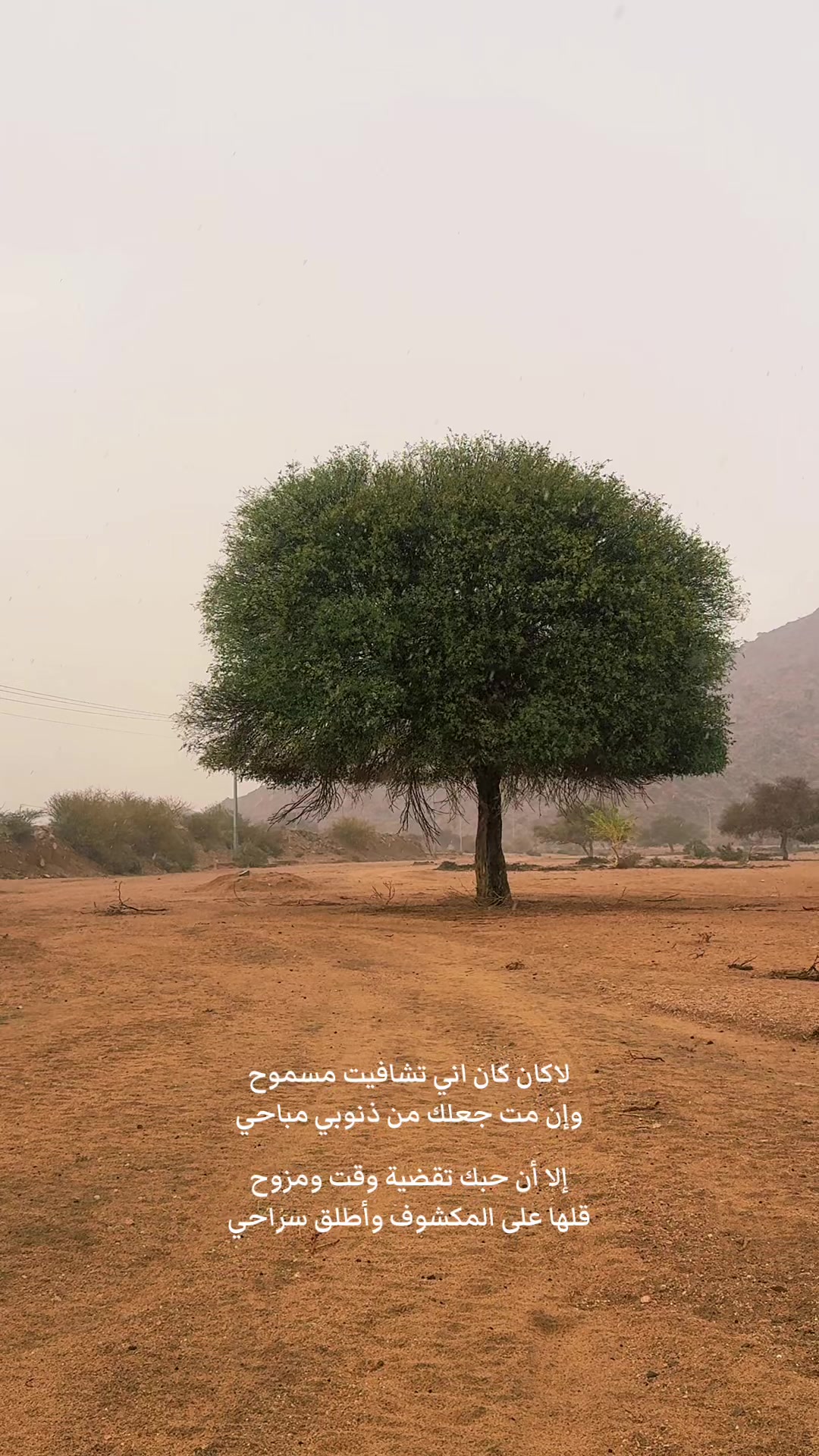 @فهد الطهيفاني