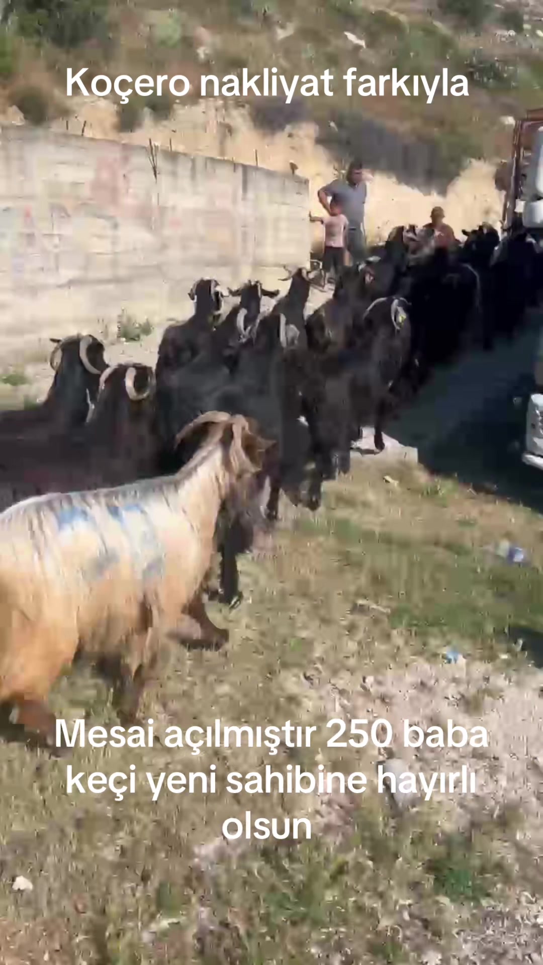 @Mehmet ÜNAL