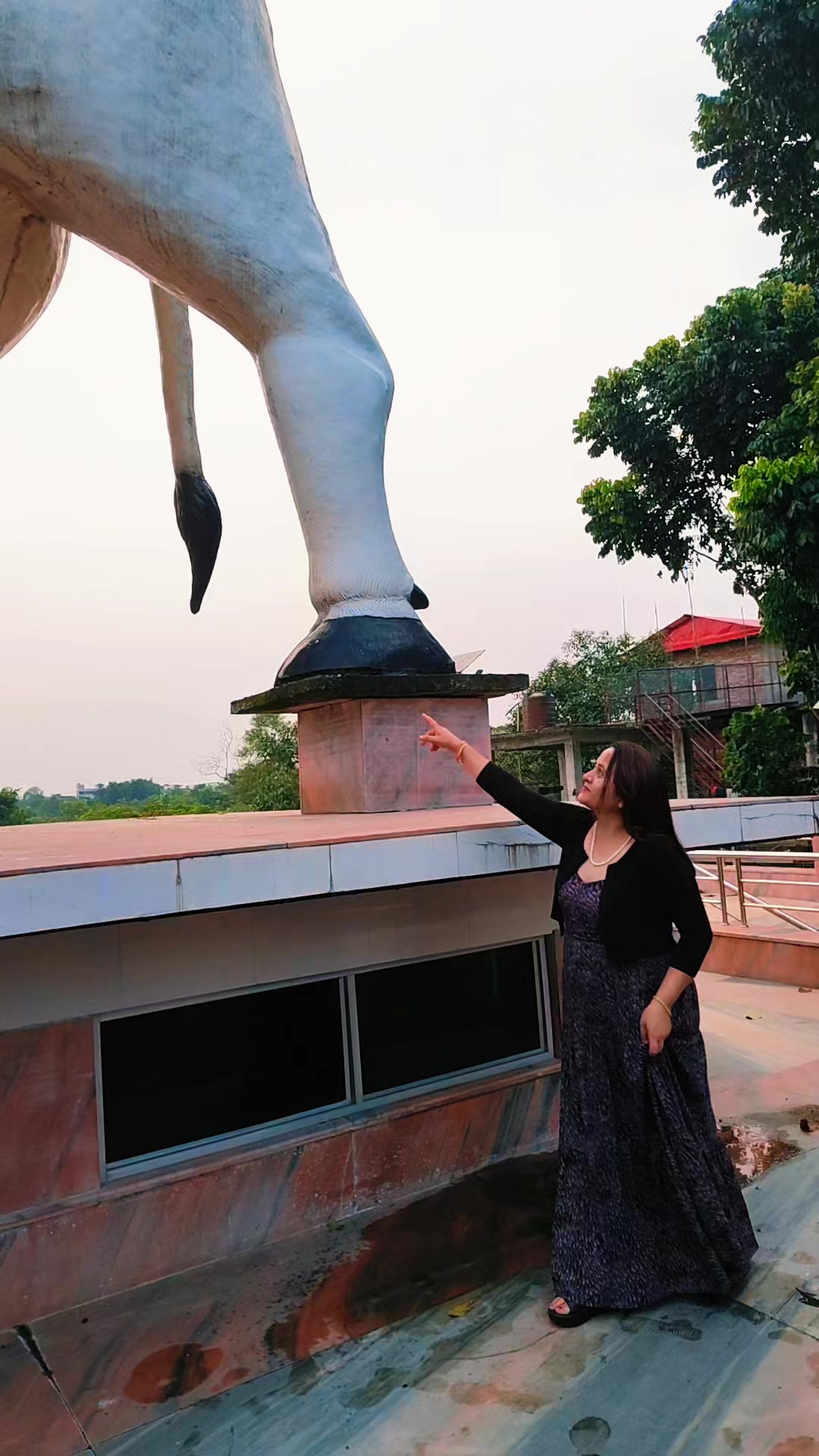 @Mamata Adhikari