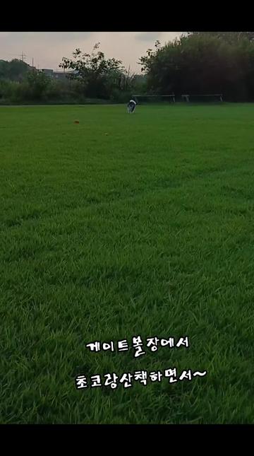 @୧⍣⃝ɷ초코ɞ୨